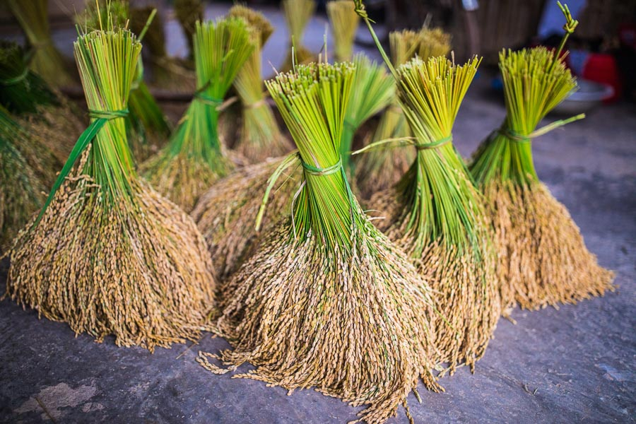 trip to Ha Giang in Vietnam 6